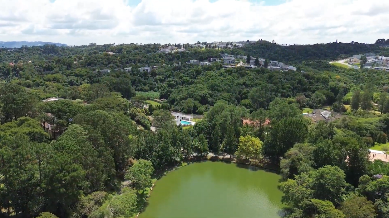 área verde com árvores em granja viana